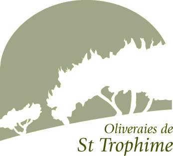 Oliveraies de St Trophime
